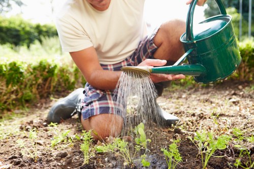Decorative image showing a lawn mower on green grass, representing Brockley lawn care