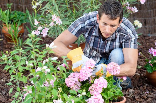 Gardener discussing a free quote with a homeowner in Brockley